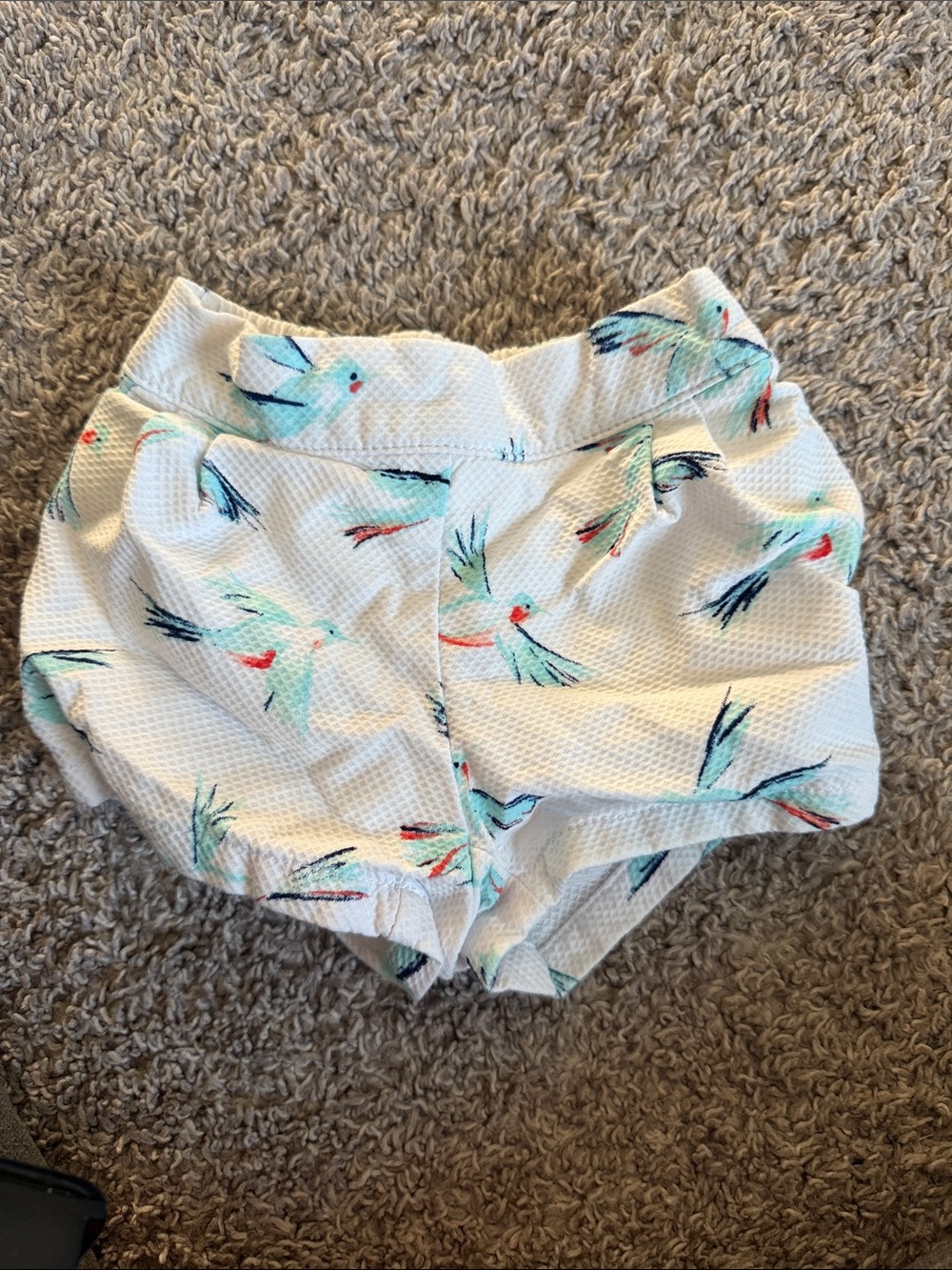 Janie and jack hummingbird shorts